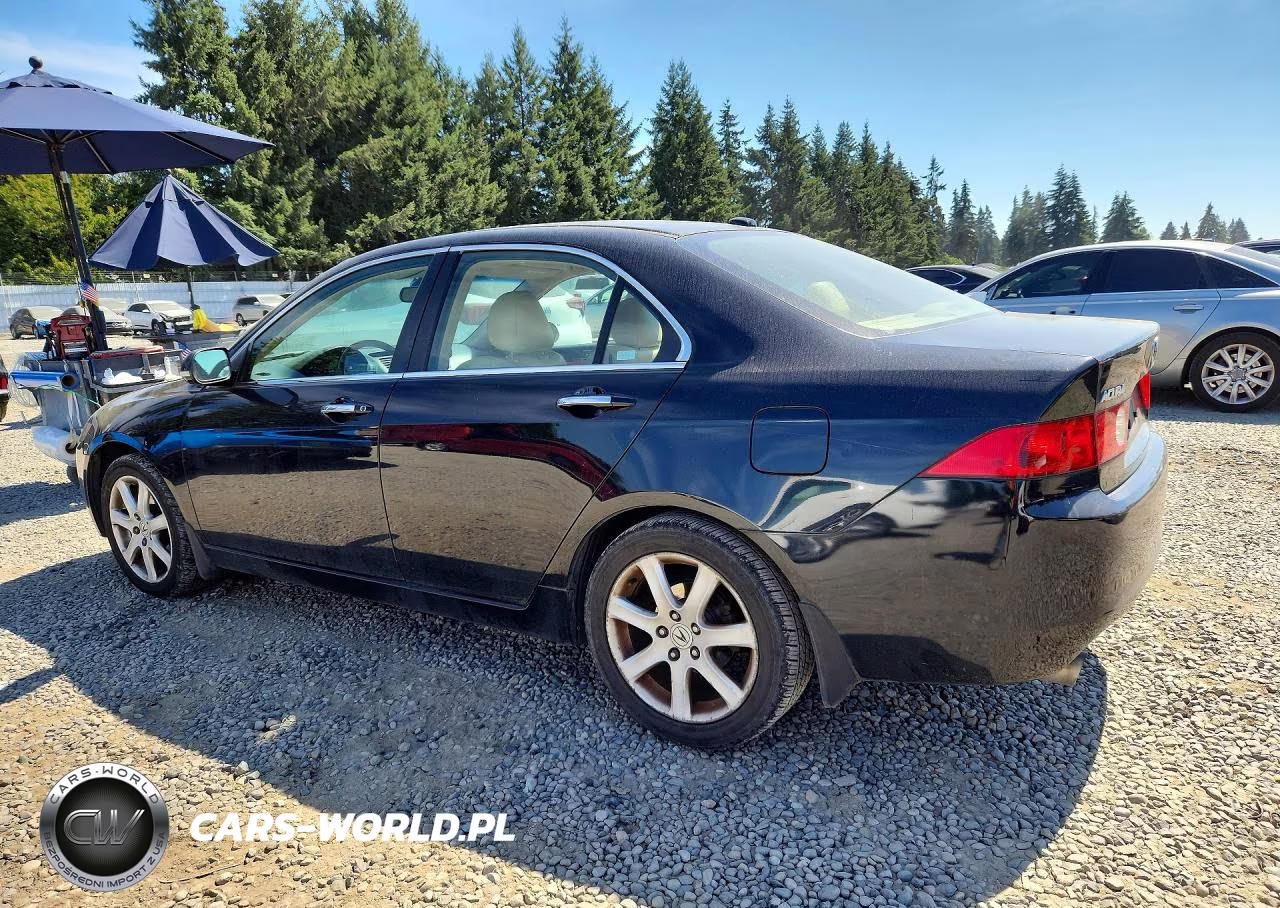 2005 Acura Tsx VIN:JH4CL96975C001911 - 2