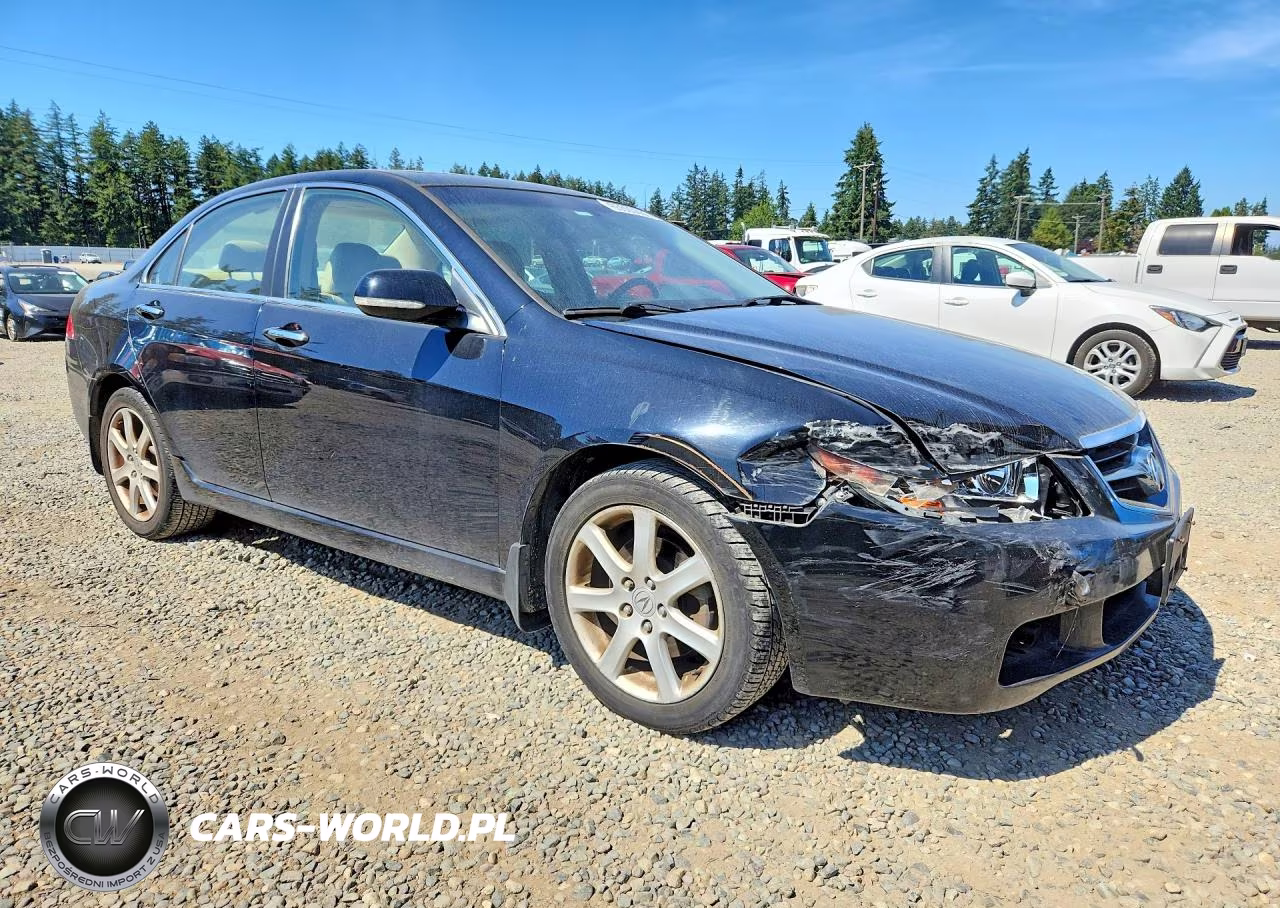 2005 Acura Tsx VIN:JH4CL96975C001911 - 4