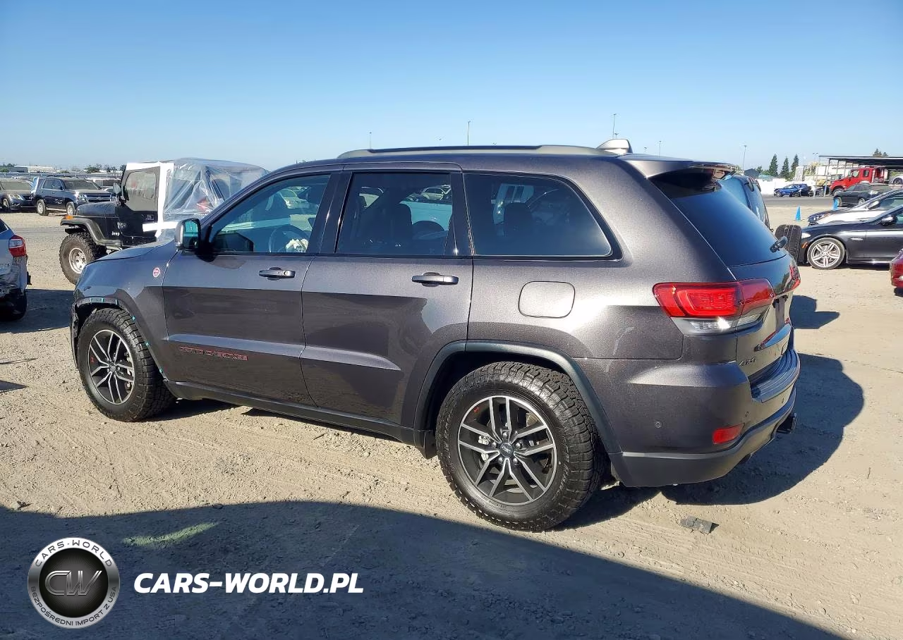 2018 Jeep Grand Cherokee Trailhawk VIN:1C4RJFLGXJC389049 - 2