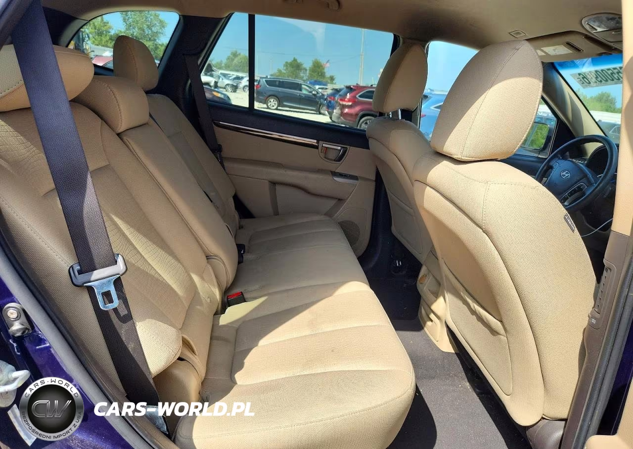 2010 Hyundai Santa Fe Gls VIN:5NMSGDAB6AH380216 - 11