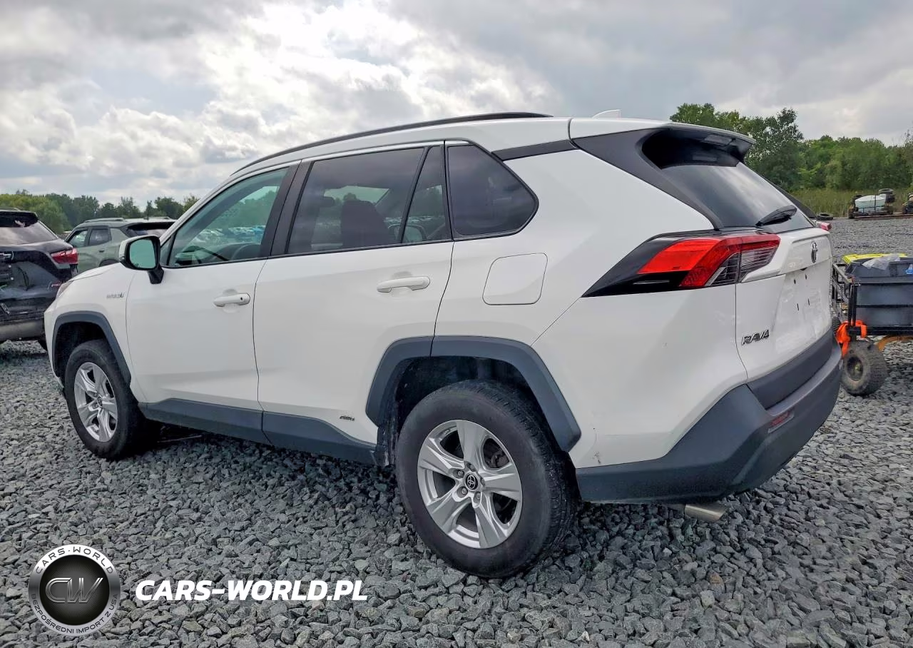 2021 Toyota Rav4 Le VIN:4T3MWRFV3MU038699 - 2