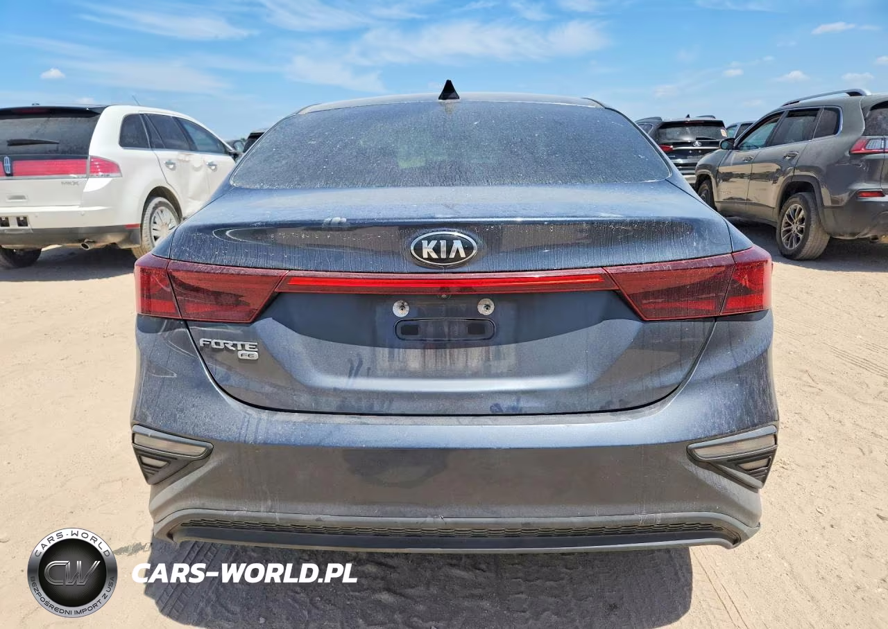 2020 Kia Forte Fe VIN:3KPF24AD4LE205667 - 6