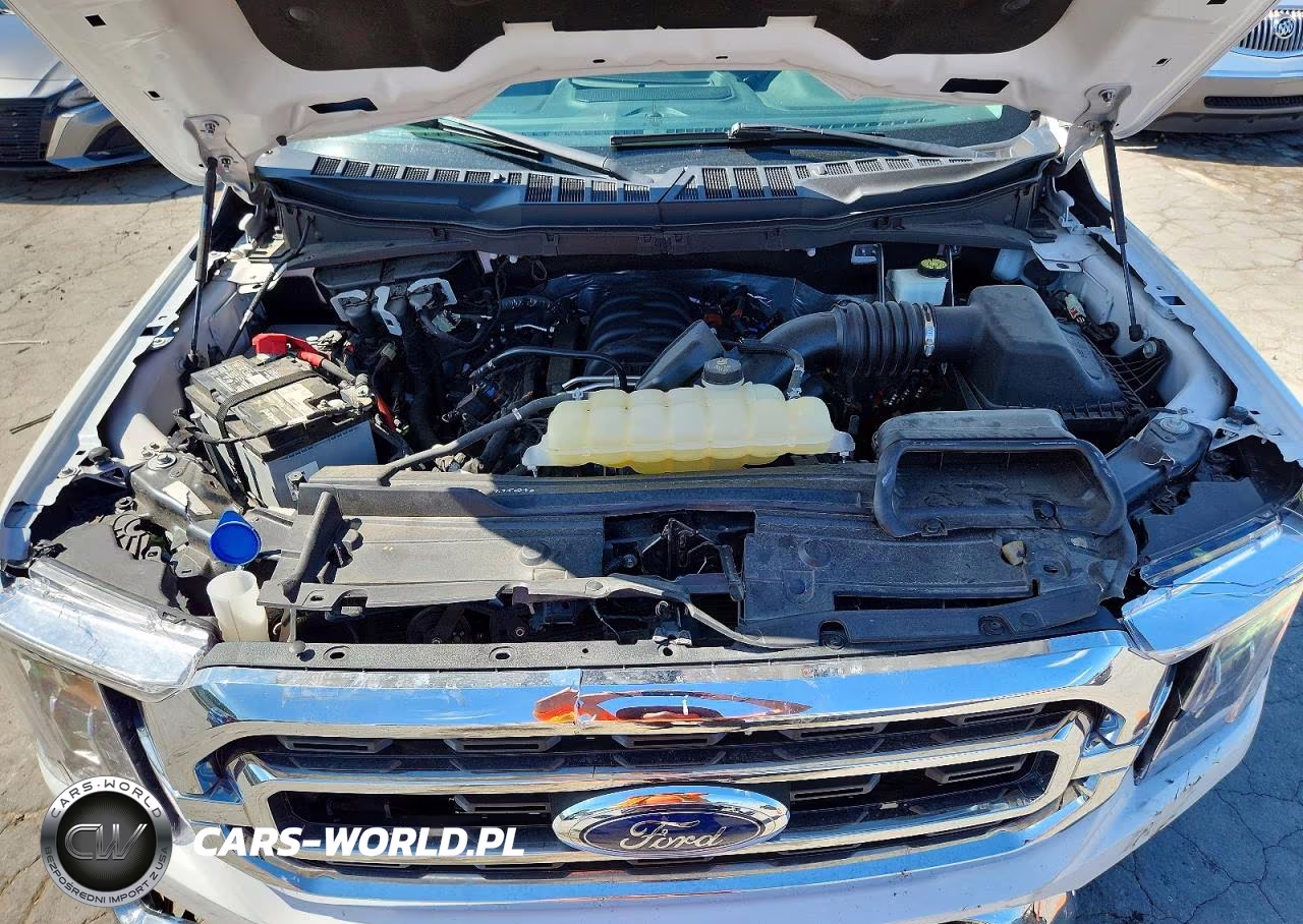 2021 Ford F150 Supercrew VIN:1FTFW1E56MFC27182 - 11