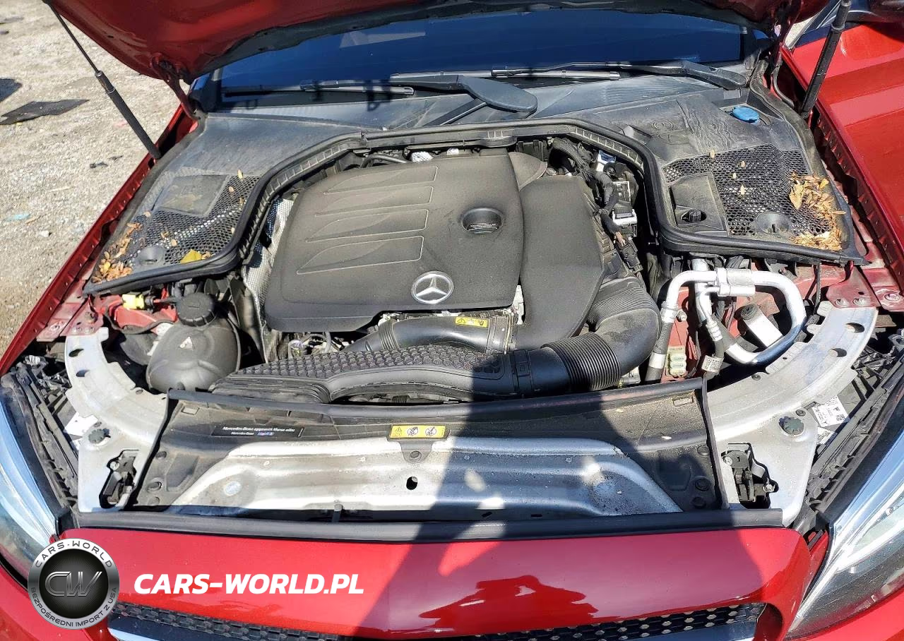 2019 Mercedes-Benz C 300 4Matic VIN:55SWF8EB1KU293184 - 11