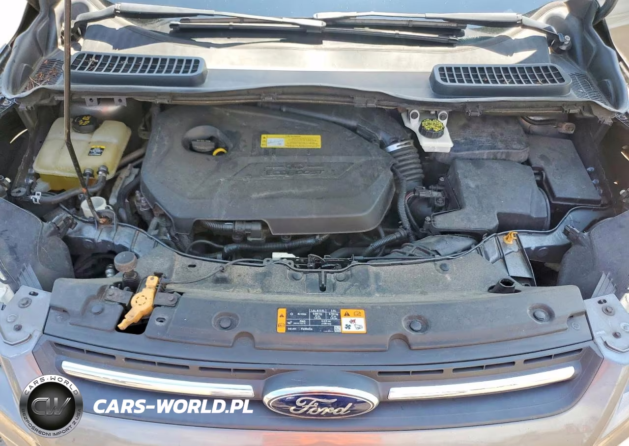 2013 Ford Escape Se VIN:1FMCU0GX0DUA28461 - 12