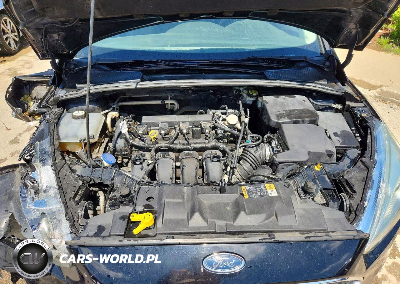 2016 Ford Focus Se VIN:1FADP3K29GL331655 - 12