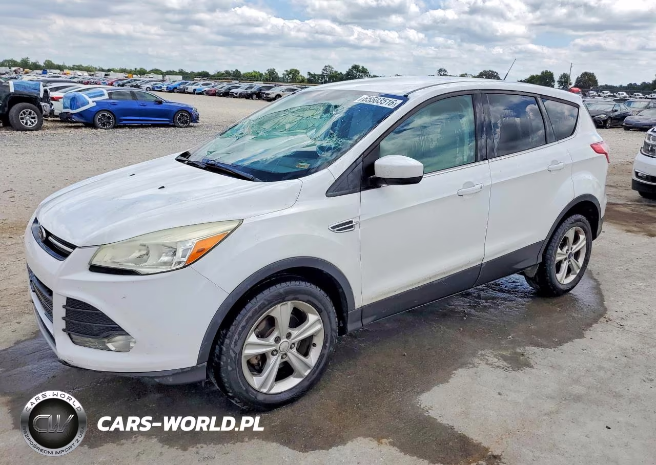 2013 Ford Escape Se