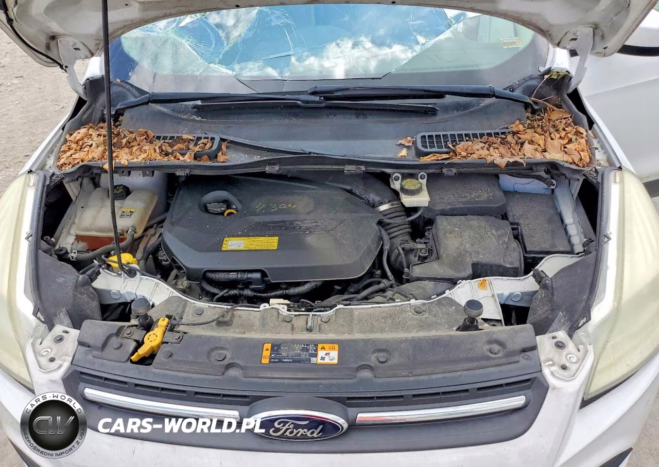 2013 Ford Escape Se VIN:1FMCU0GX1DUC41418 - 12