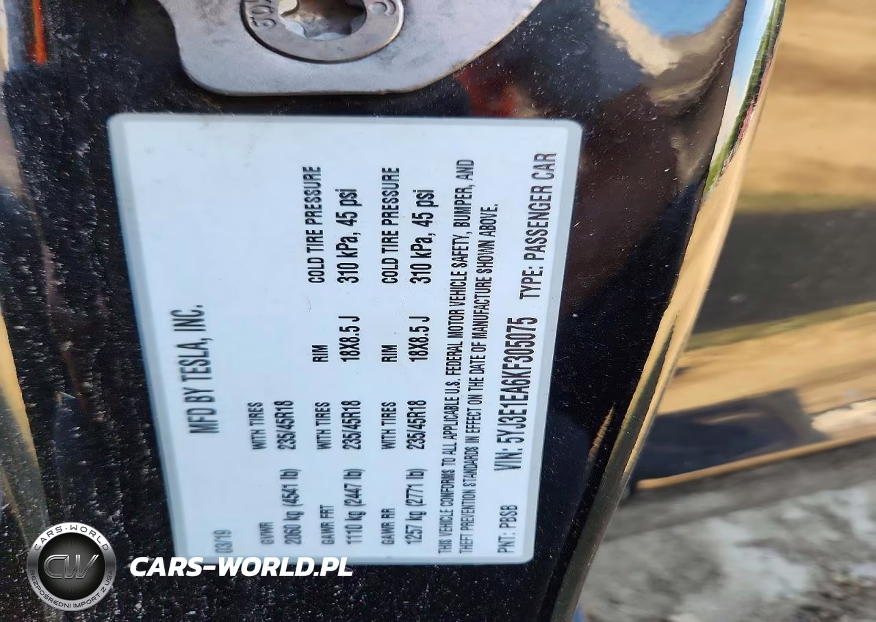 2019 Tesla Model 3 VIN:5YJ3E1EA6KF305075 - 12