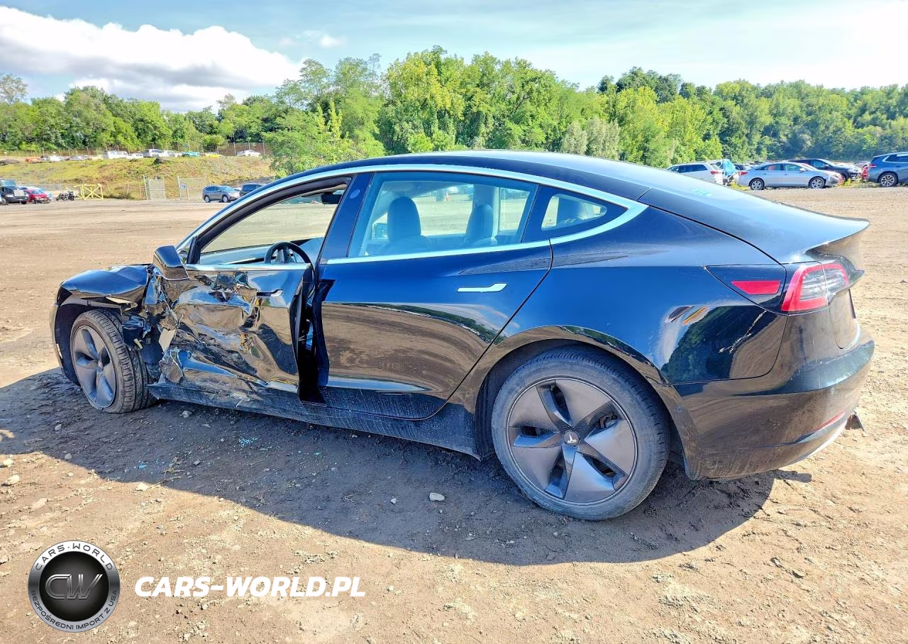 2019 Tesla Model 3 VIN:5YJ3E1EA6KF305075 - 2