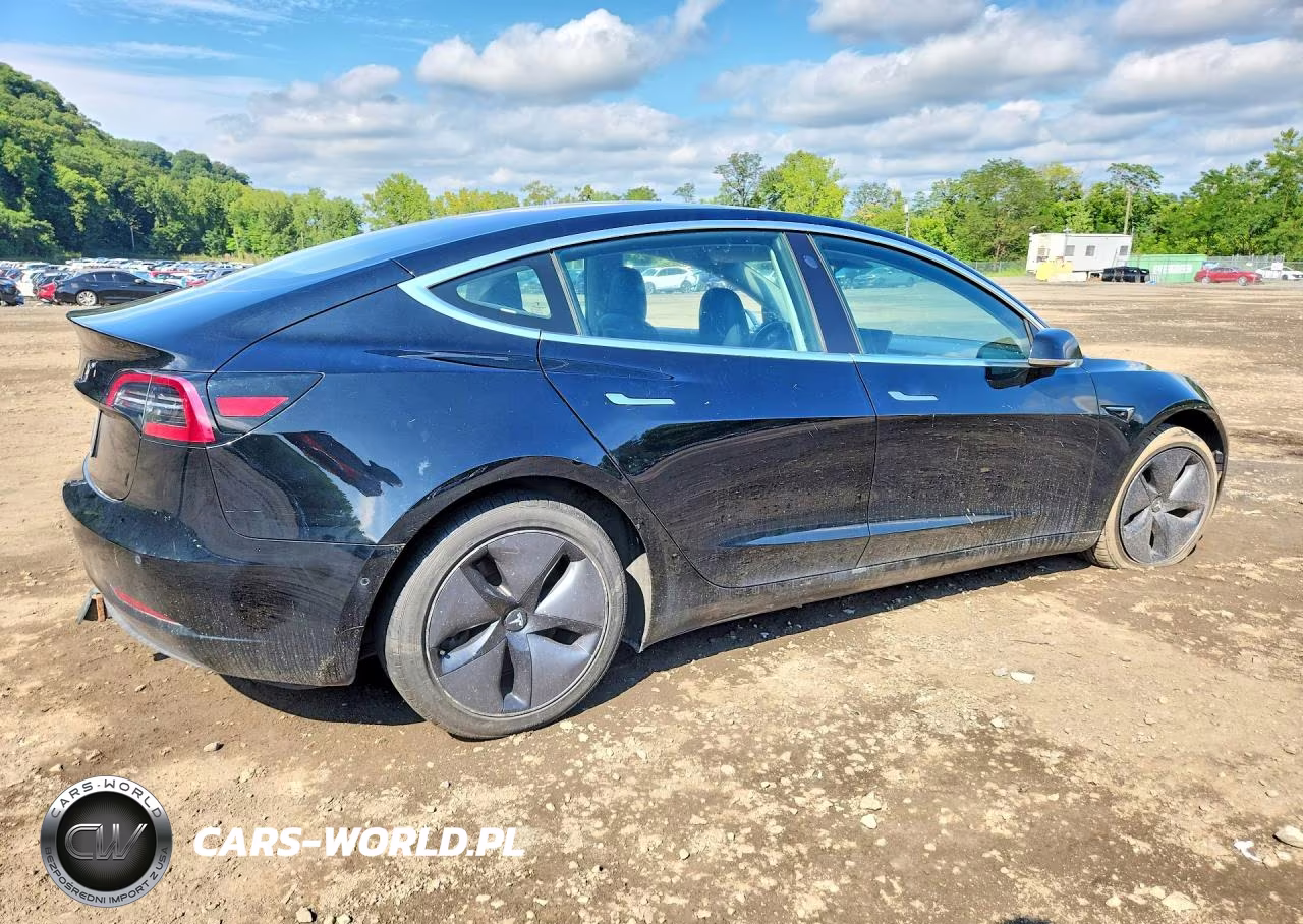2019 Tesla Model 3 VIN:5YJ3E1EA6KF305075 - 3