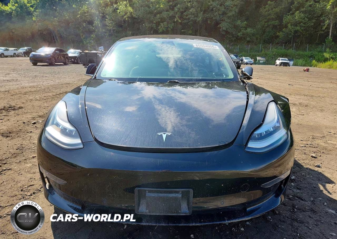 2019 Tesla Model 3 VIN:5YJ3E1EA6KF305075 - 5