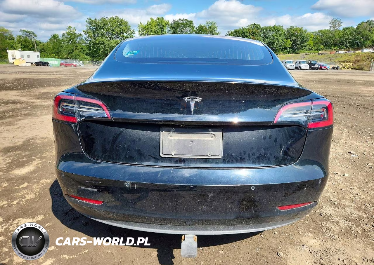 2019 Tesla Model 3 VIN:5YJ3E1EA6KF305075 - 6
