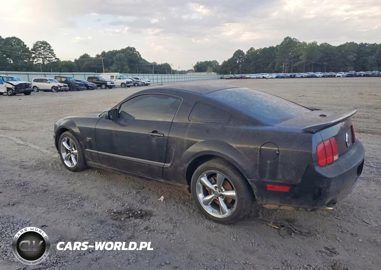 2008 Ford Mustang Gt VIN:1ZVHT82H585164870 - 2