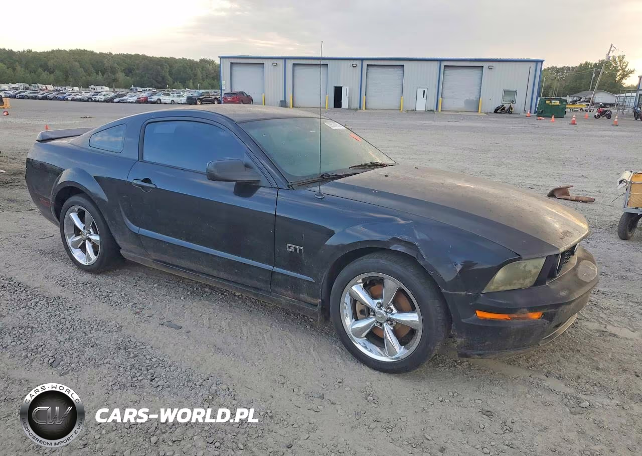 2008 Ford Mustang Gt VIN:1ZVHT82H585164870 - 4