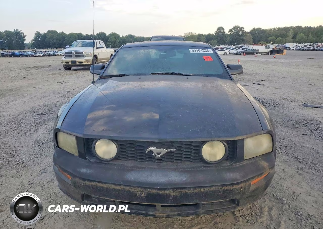 2008 Ford Mustang Gt VIN:1ZVHT82H585164870 - 5