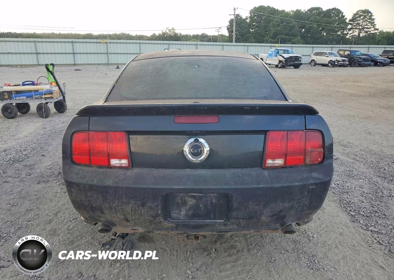 2008 Ford Mustang Gt VIN:1ZVHT82H585164870 - 6