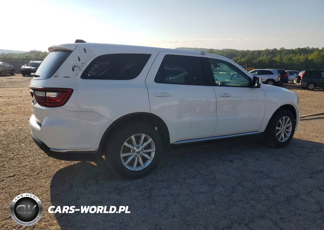 2020 Dodge Durango VIN:1C4SDJFT4LC368186 - 3
