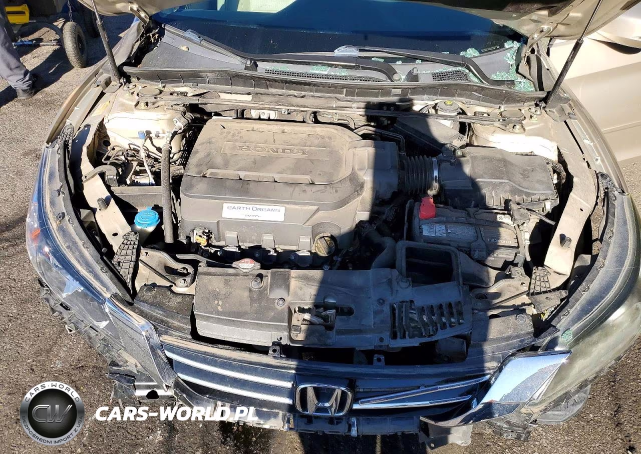 2013 Honda Accord Exl VIN:1HGCR3F87DA040725 - 11