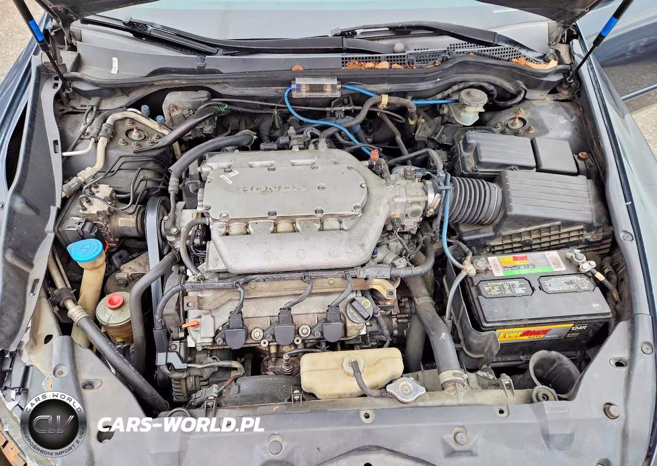 2005 Honda Accord Ex VIN:1HGCM66875A043528 - 11