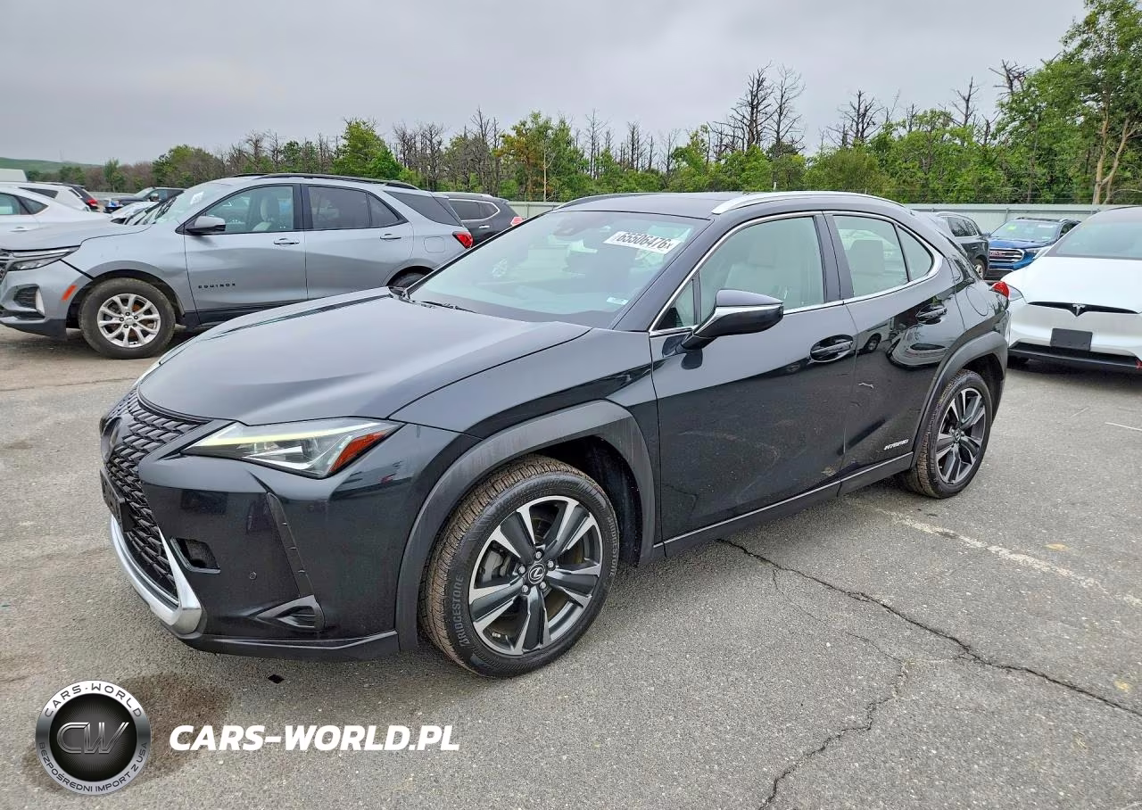 2019 Lexus Ux 250H