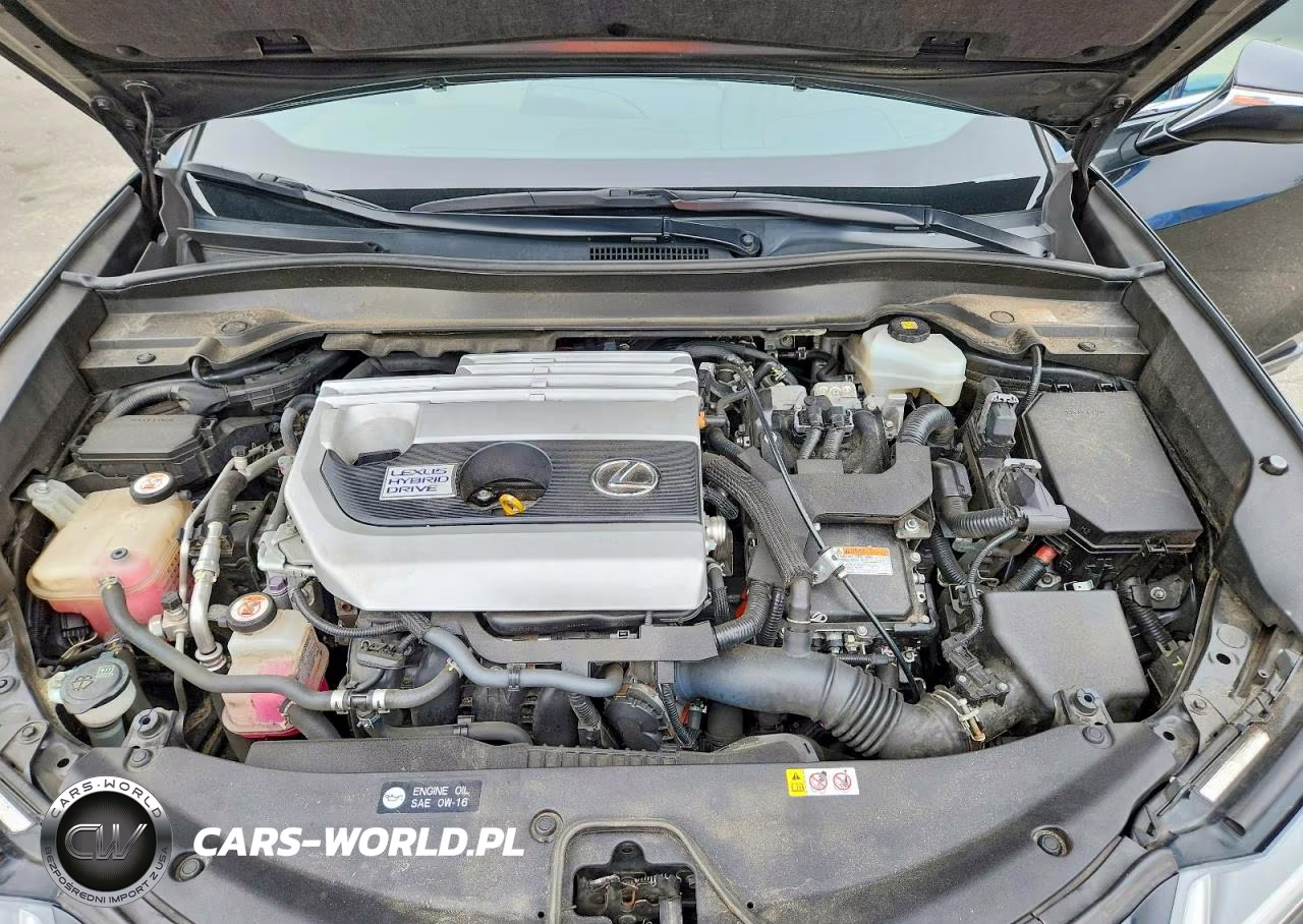 2019 Lexus Ux 250H VIN:JTHU9JBH8K2019384 - 12