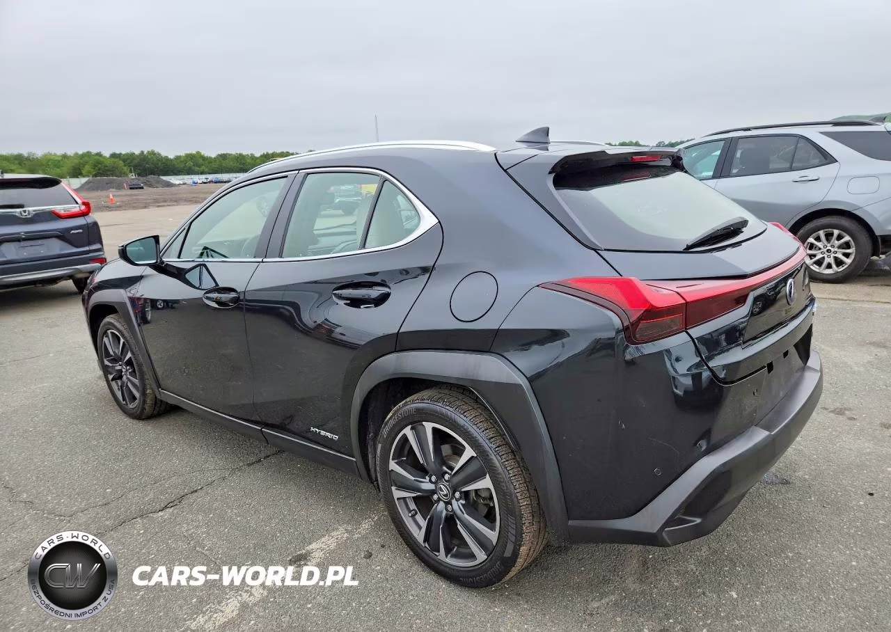2019 Lexus Ux 250H VIN:JTHU9JBH8K2019384 - 2