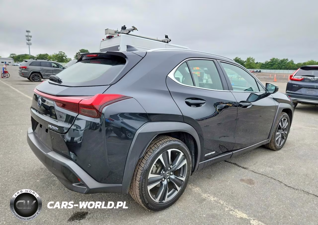 2019 Lexus Ux 250H VIN:JTHU9JBH8K2019384 - 3