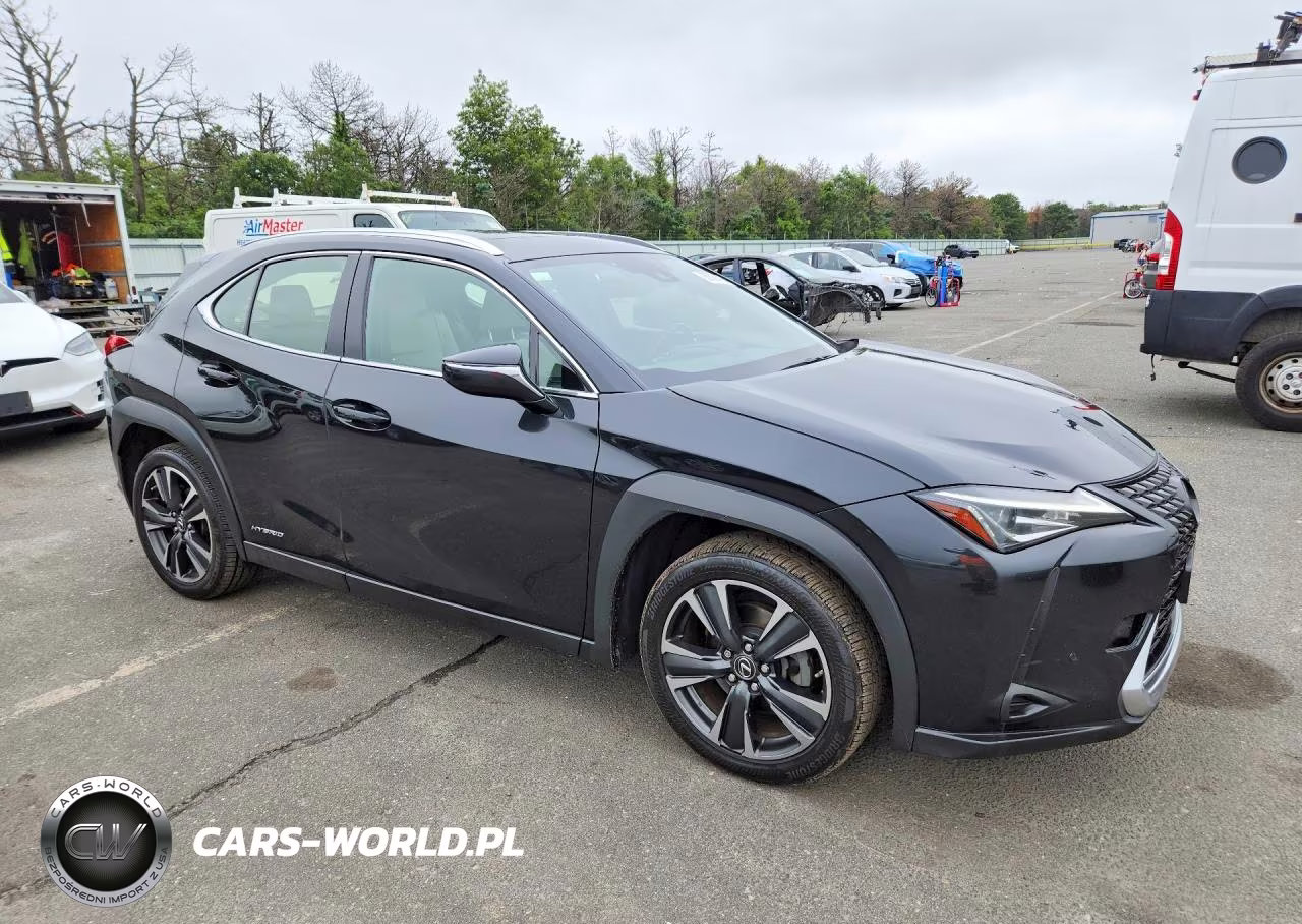 2019 Lexus Ux 250H VIN:JTHU9JBH8K2019384 - 4