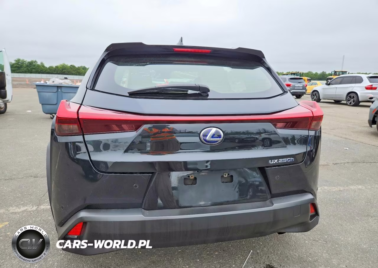 2019 Lexus Ux 250H VIN:JTHU9JBH8K2019384 - 6
