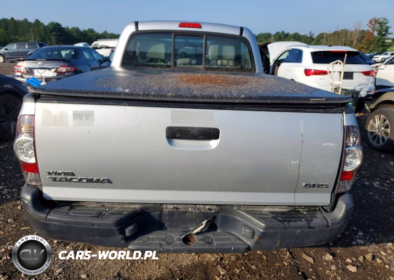 2010 Toyota Tacoma Base VIN:5TENX4CN8AZ715061 - 6