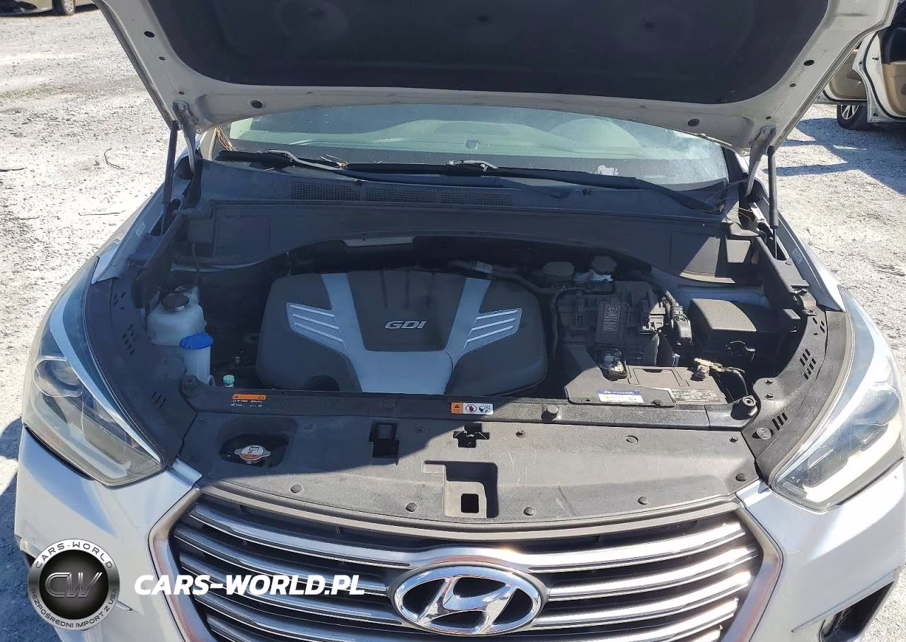 2019 Hyundai Santa Fe Xl Limited Ultimate VIN:KM8SR4HF7KU311298 - 12