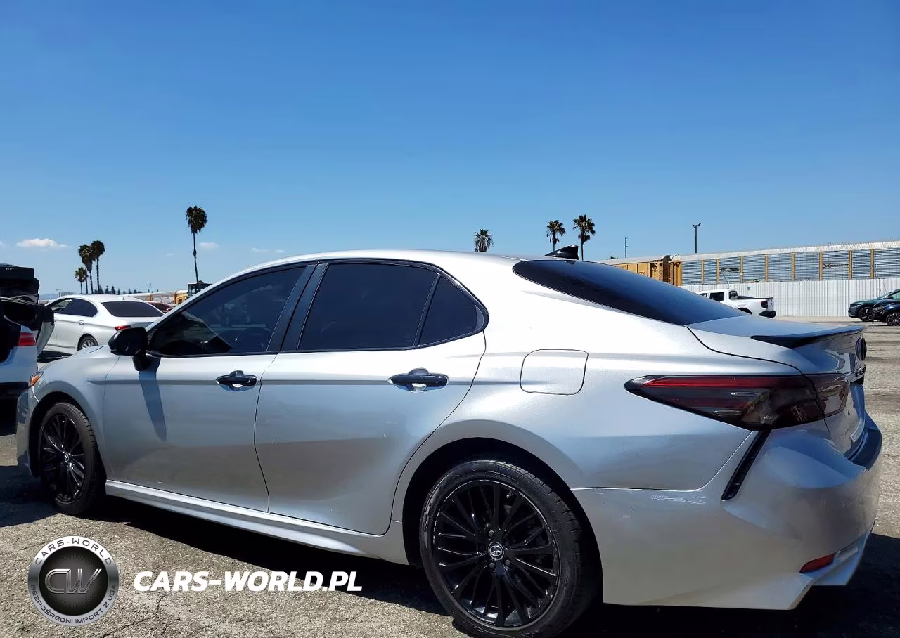 2019 Toyota Camry Se VIN:4T1B11HK3KU284314 - 2