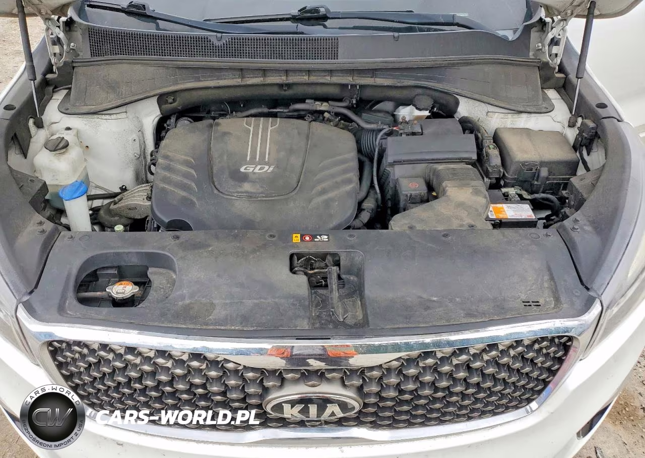 2016 Kia Sorento Sx V6 VIN:5XYPKDA51GG080195 - 12