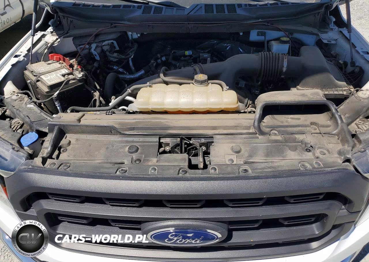 2023 Ford F150 Xl VIN:1FTMF1CP6PKG15925 - 12