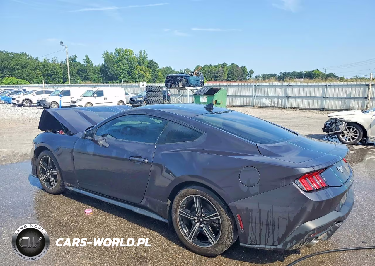 2024 Ford Mustang VIN:1FA6P8TH6R5145636 - 2
