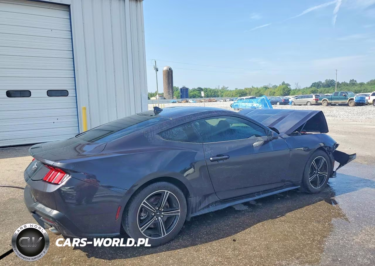 2024 Ford Mustang VIN:1FA6P8TH6R5145636 - 3
