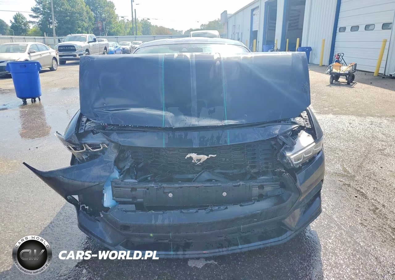 2024 Ford Mustang VIN:1FA6P8TH6R5145636 - 5