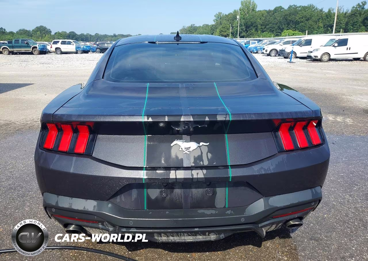 2024 Ford Mustang VIN:1FA6P8TH6R5145636 - 6