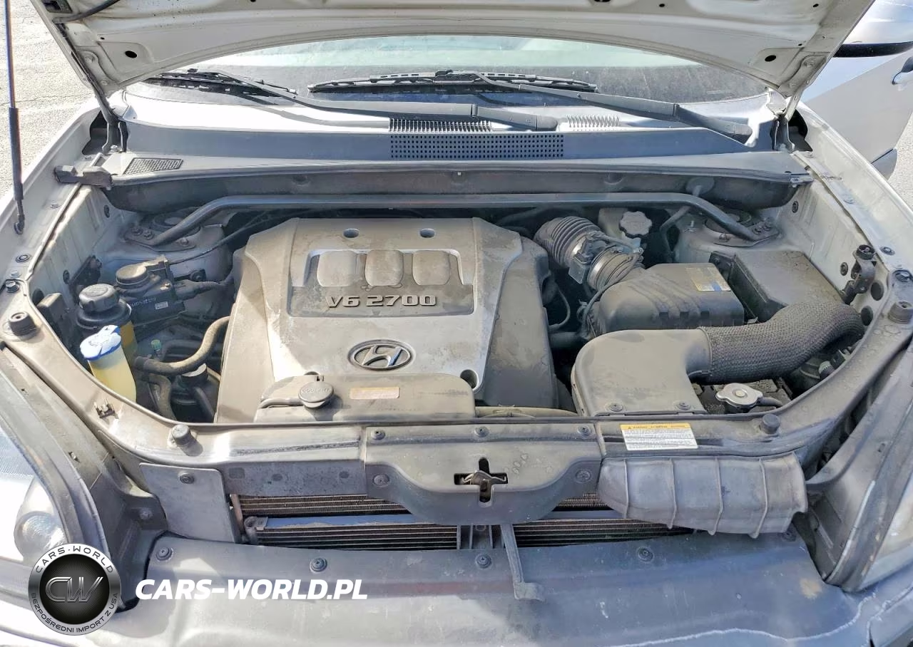 2006 Hyundai Tucson Gls VIN:KM8JN72D46U411428 - 12