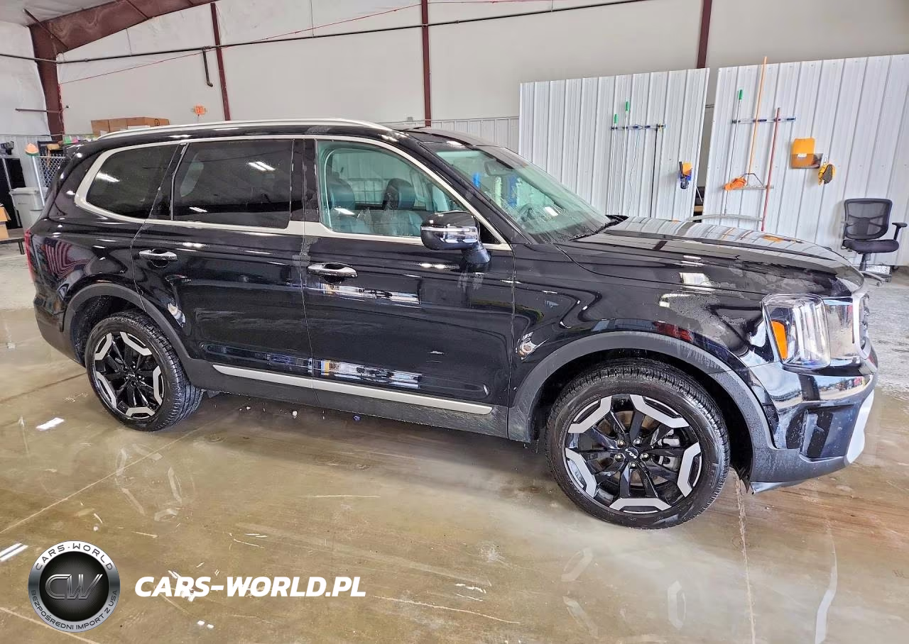 2025 Kia Telluride S VIN:5XYP6DGC8SG625585 - 4