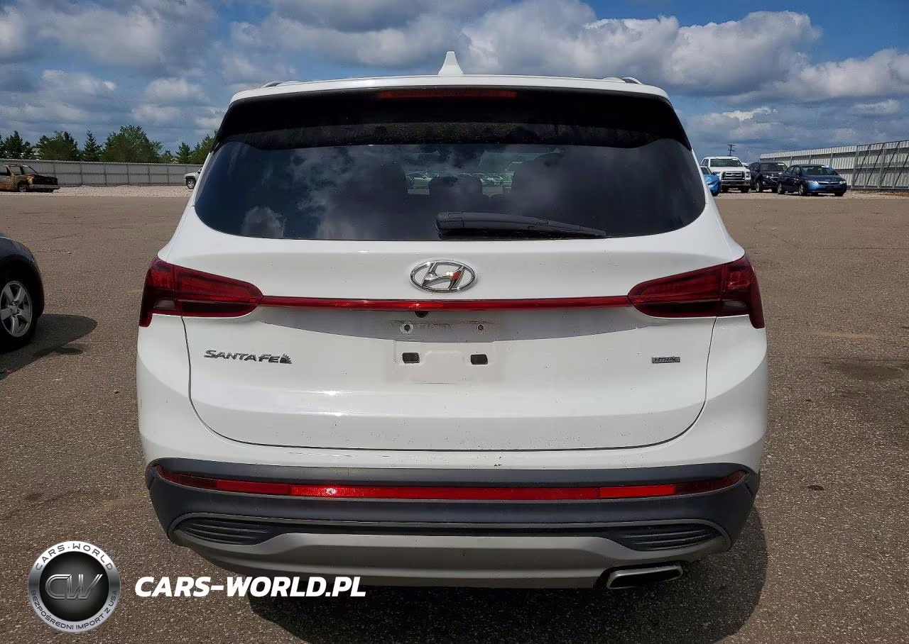2023 Hyundai Santa Fe Se VIN:5NMS1DAJ3PH615608 - 6
