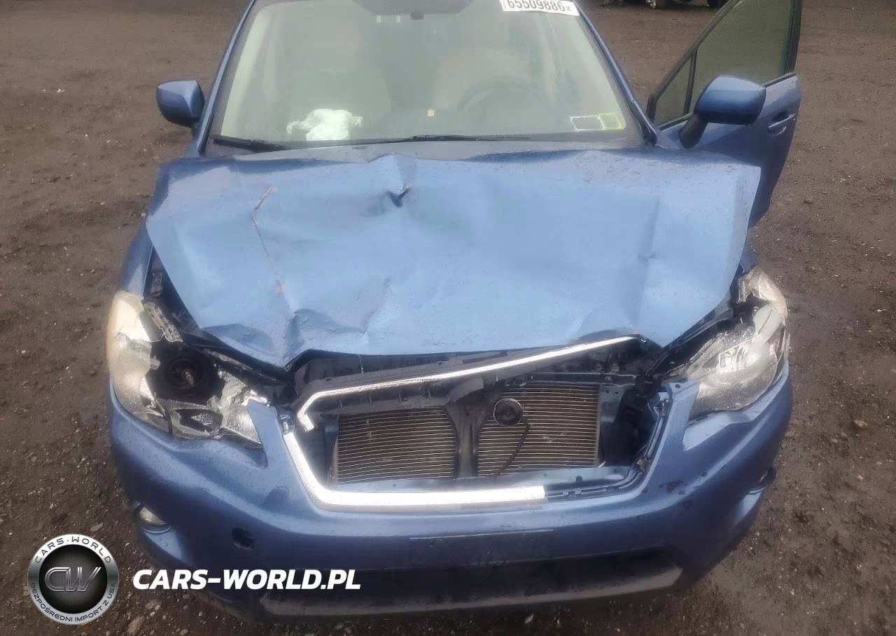 2014 Subaru Xv Crosstrek 2.0 Premium VIN:JF2GPACC6E8302716 - 12