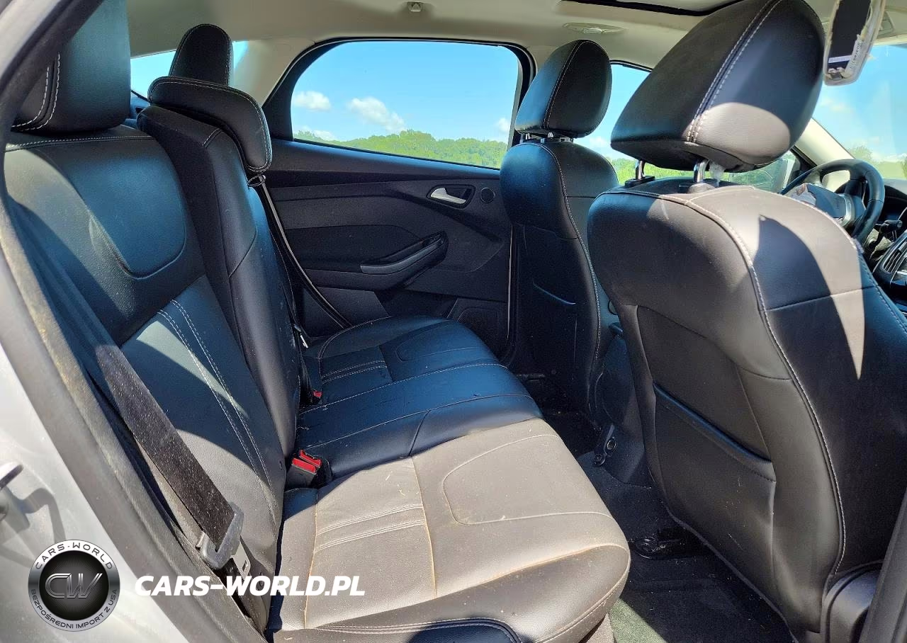 2014 Ford Focus Titanium VIN:1FADP3N24EL409932 - 10