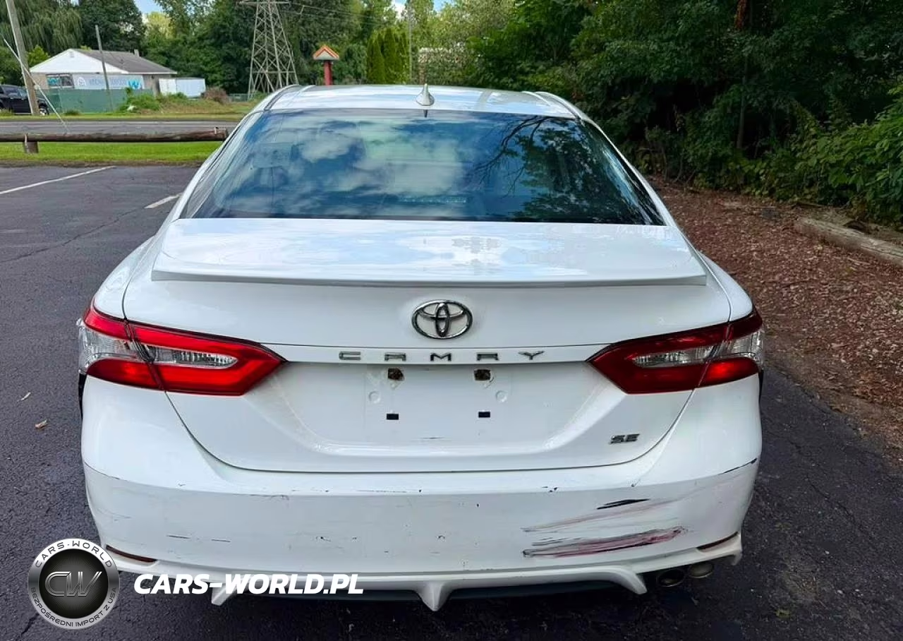 2020 Toyota Camry Se VIN:4T1G11AK6LU346032 - 10