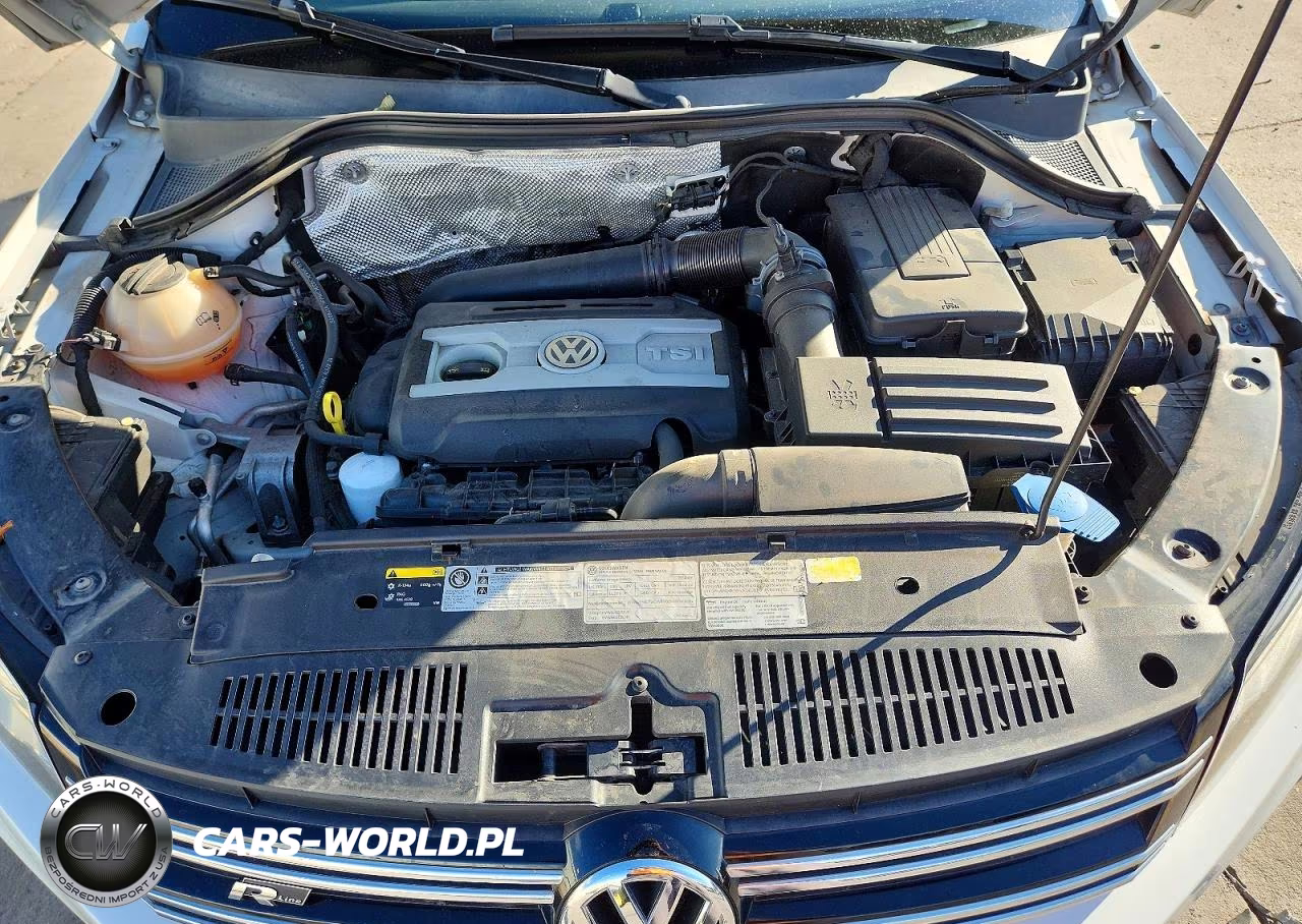 2014 Volkswagen Tiguan S VIN:WVGBV3AX7EW095311 - 12