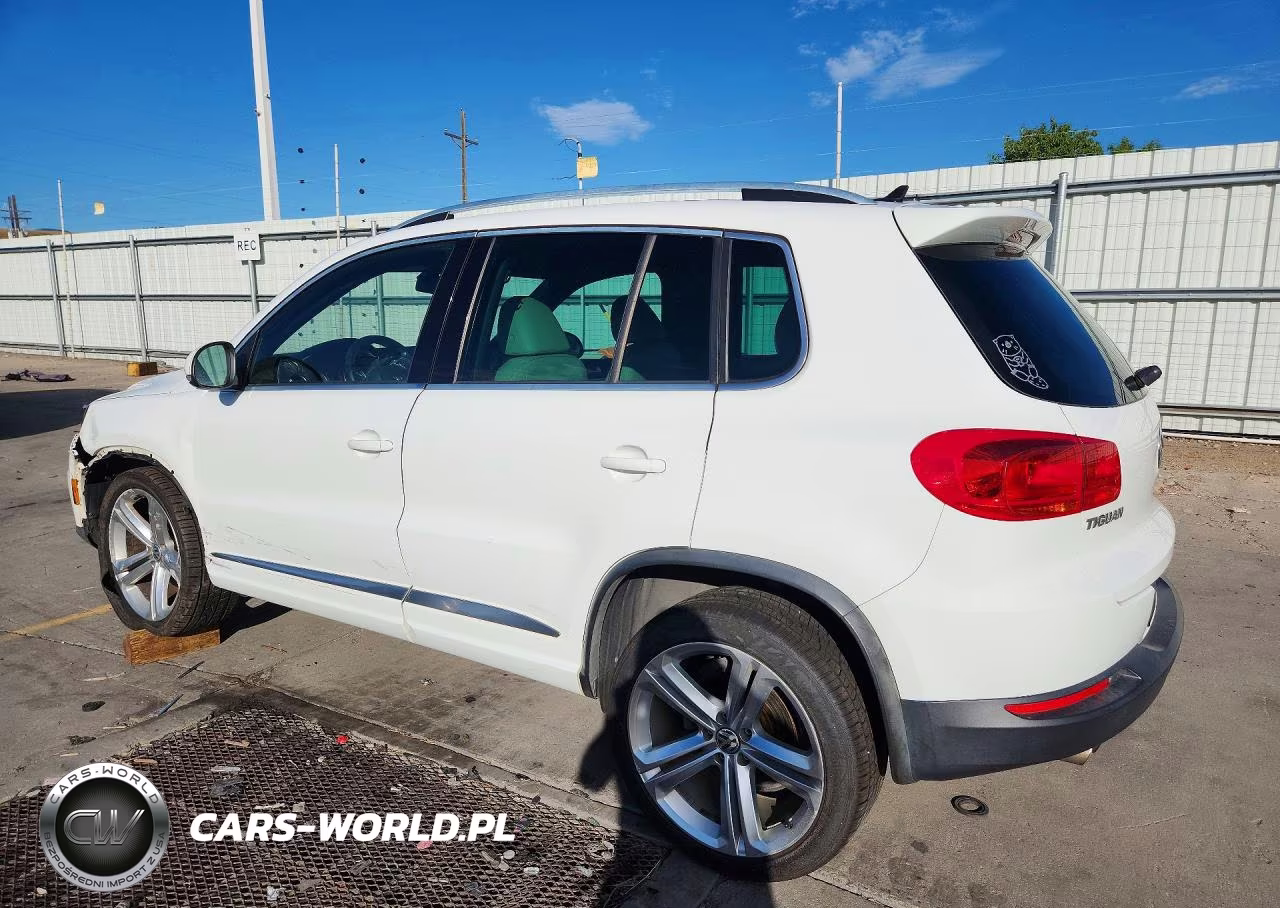 2014 Volkswagen Tiguan S VIN:WVGBV3AX7EW095311 - 2