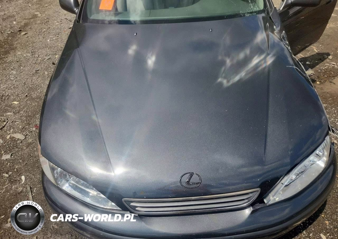 2000 Lexus Es 300 VIN:JT8BF28G5Y5102105 - 11