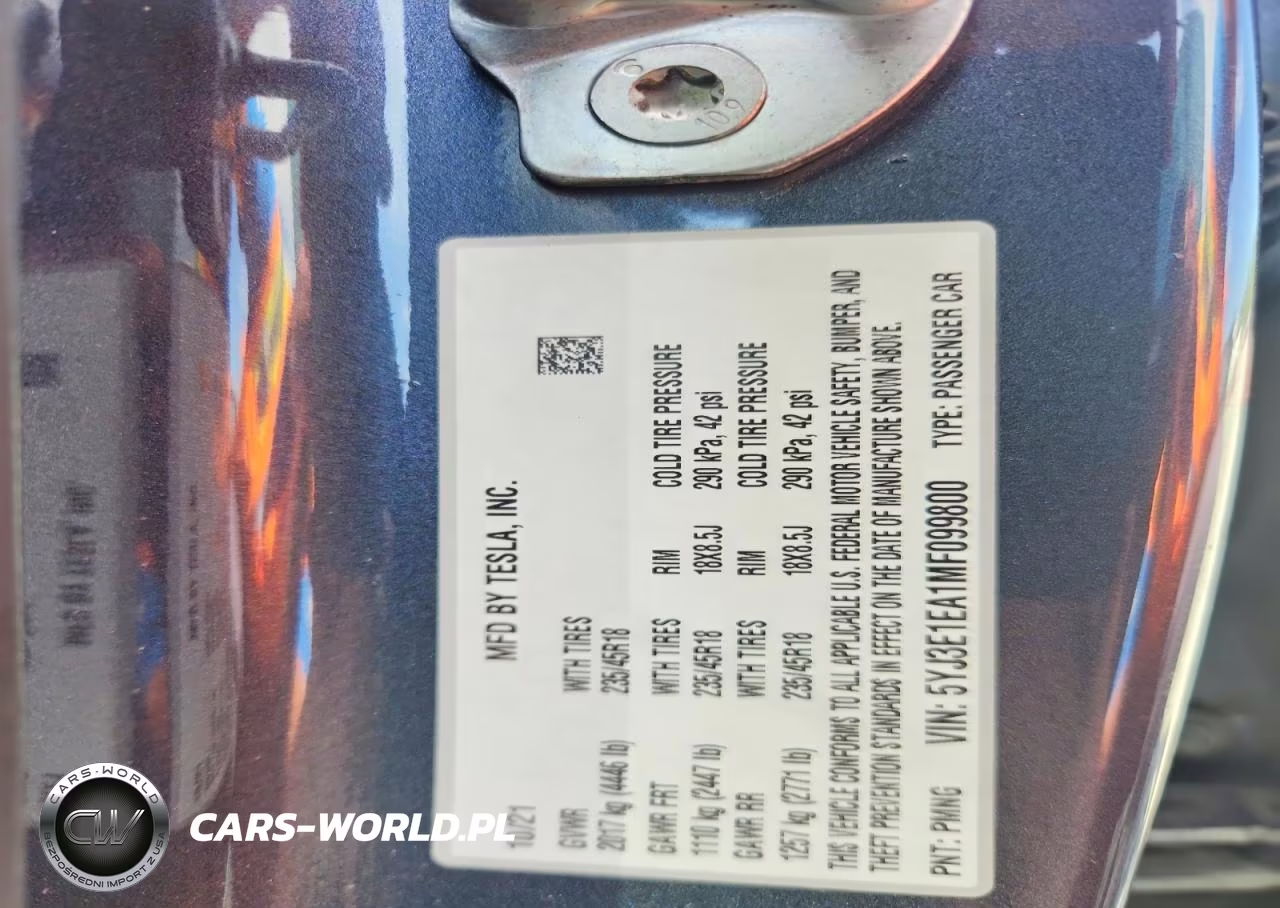 2021 Tesla Model 3 VIN:5YJ3E1EA1MF099800 - 12