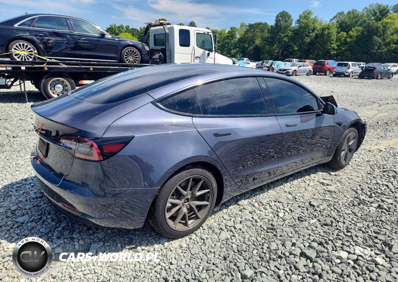2021 Tesla Model 3 VIN:5YJ3E1EA1MF099800 - 3